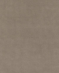 Classic Bouclé 5cm 511 Greige