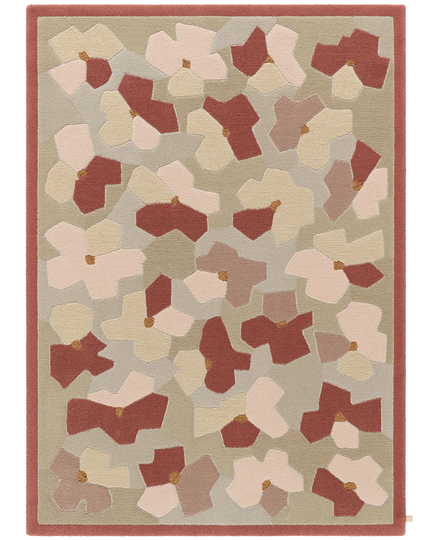 Anemon 184 Coral