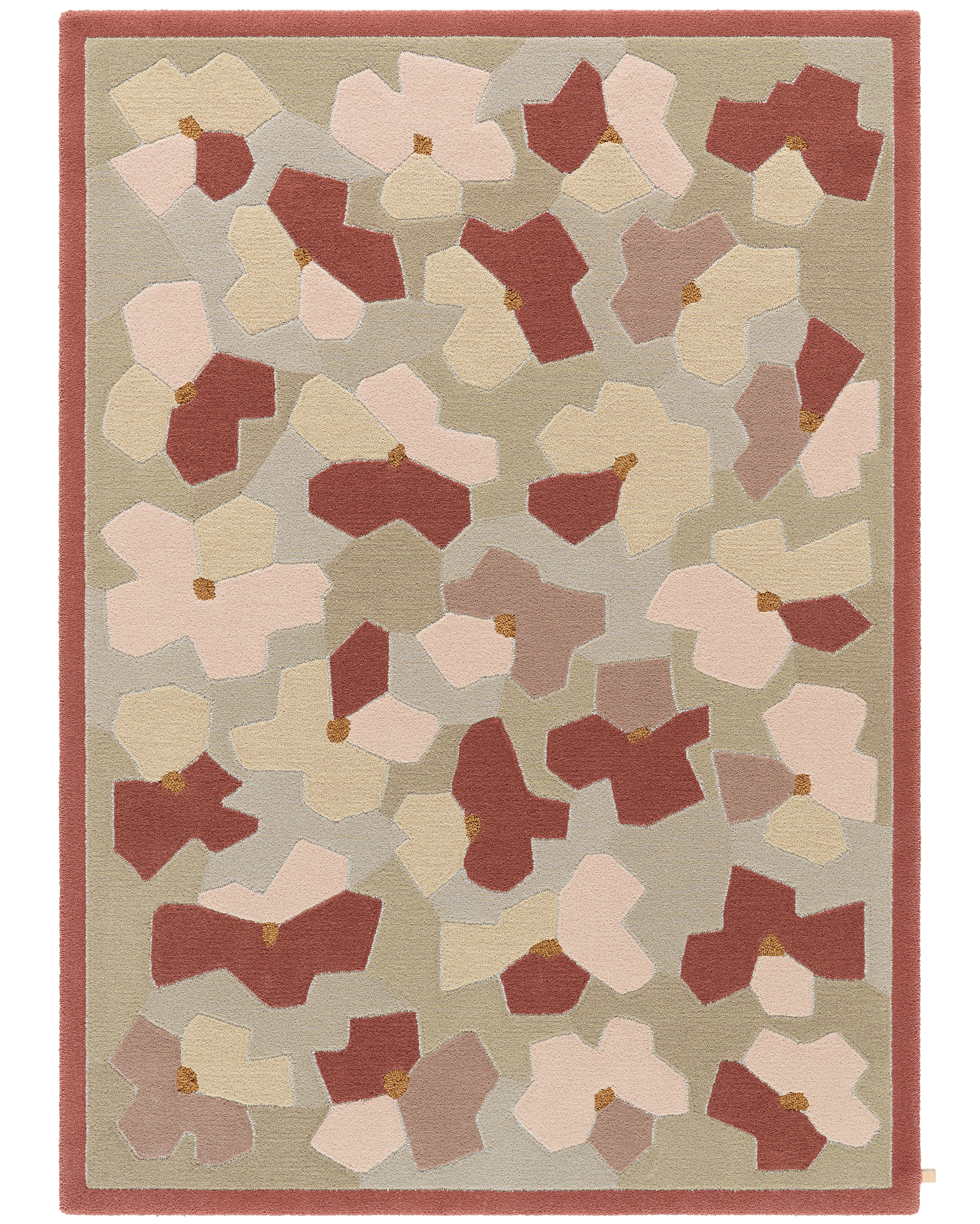 Anemon 184 Coral