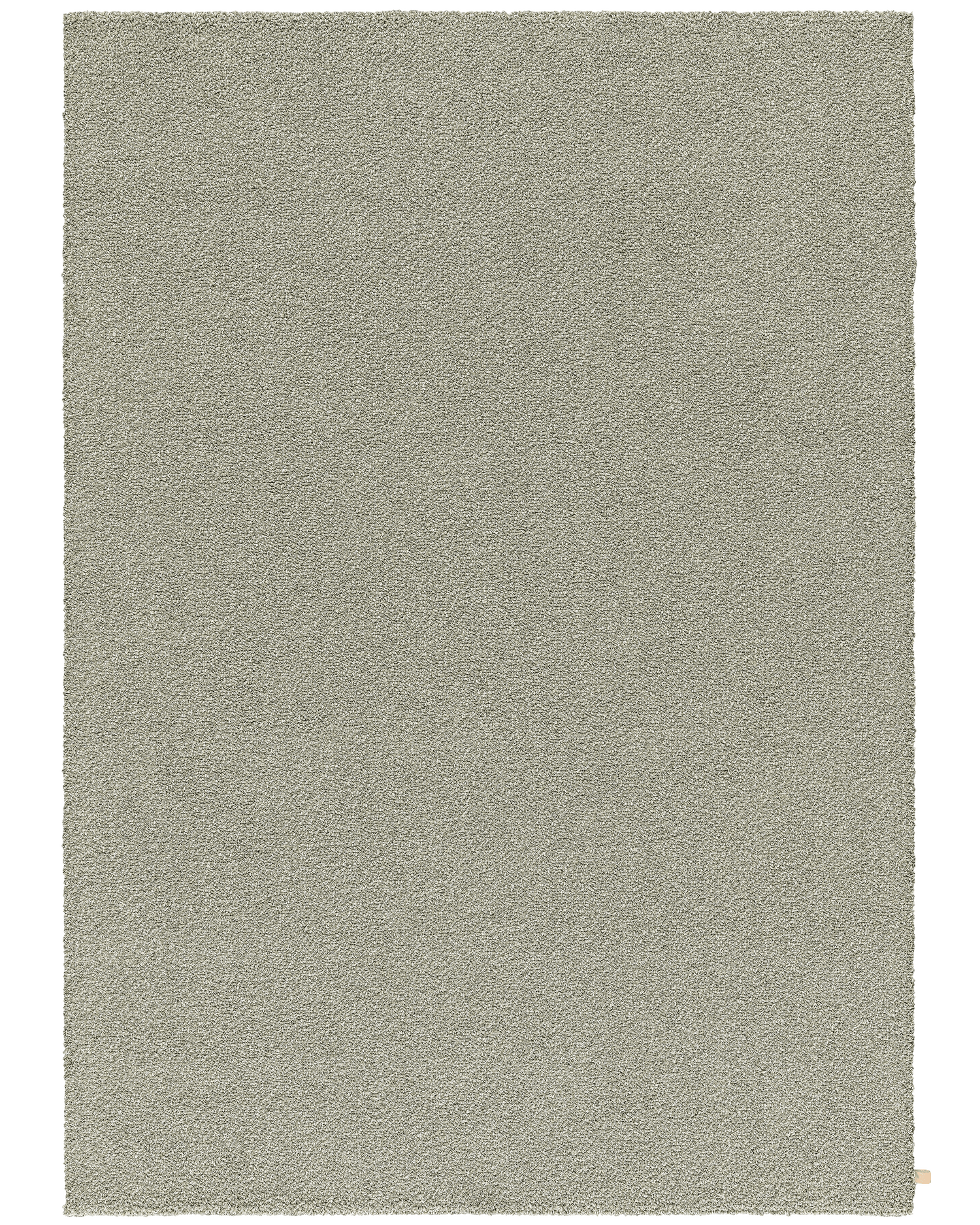 Lav 504 Seashell