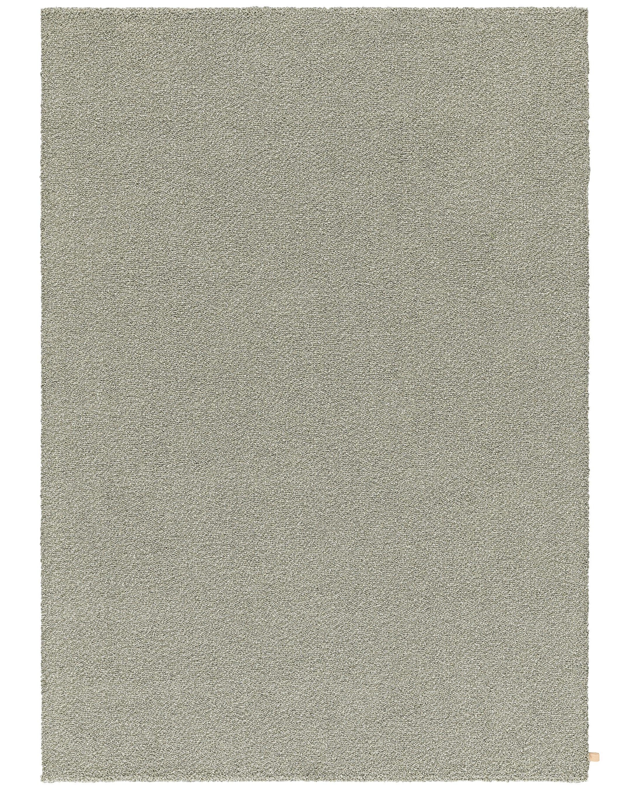 Lav 504 Seashell