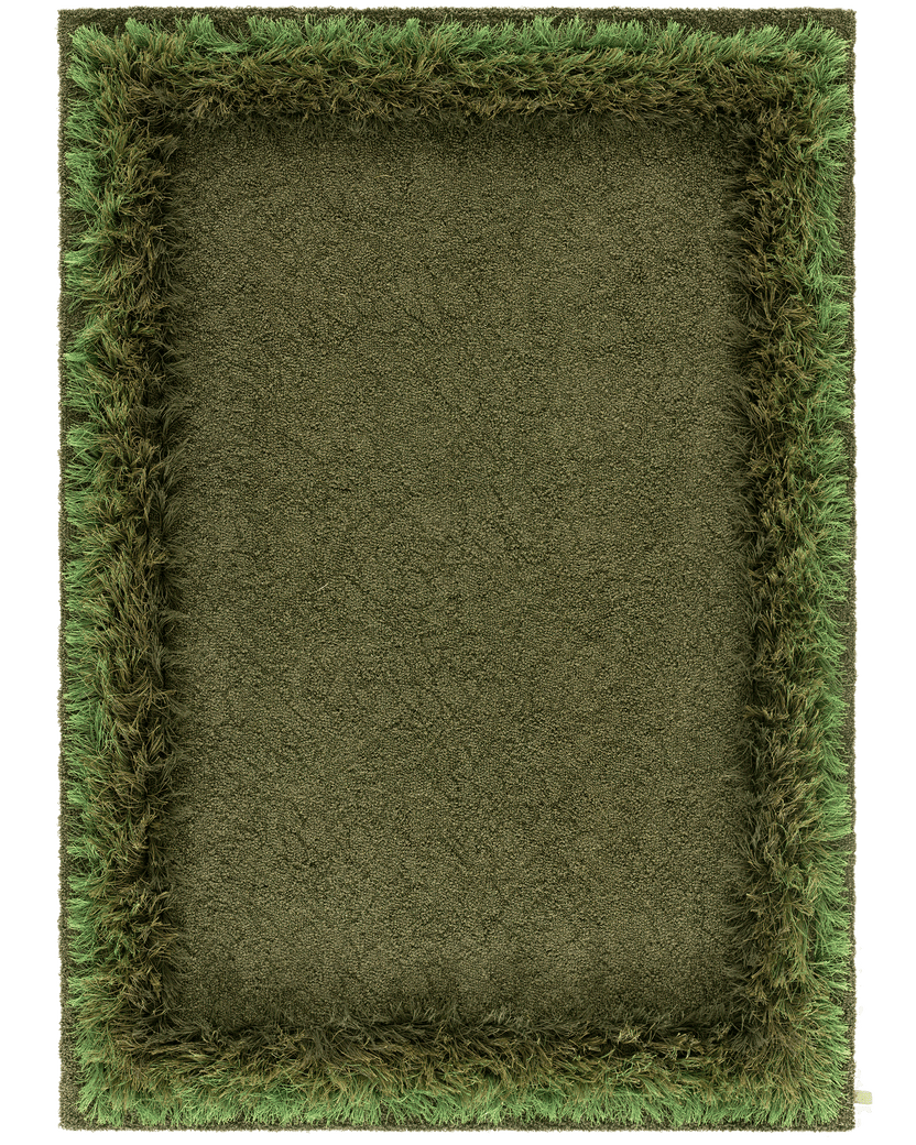 Feather 300 Parakeet