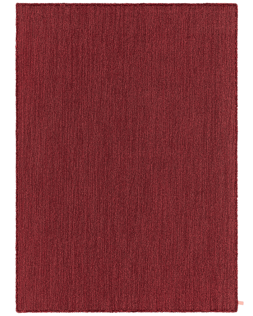 Poppy 100 Rebellions Red