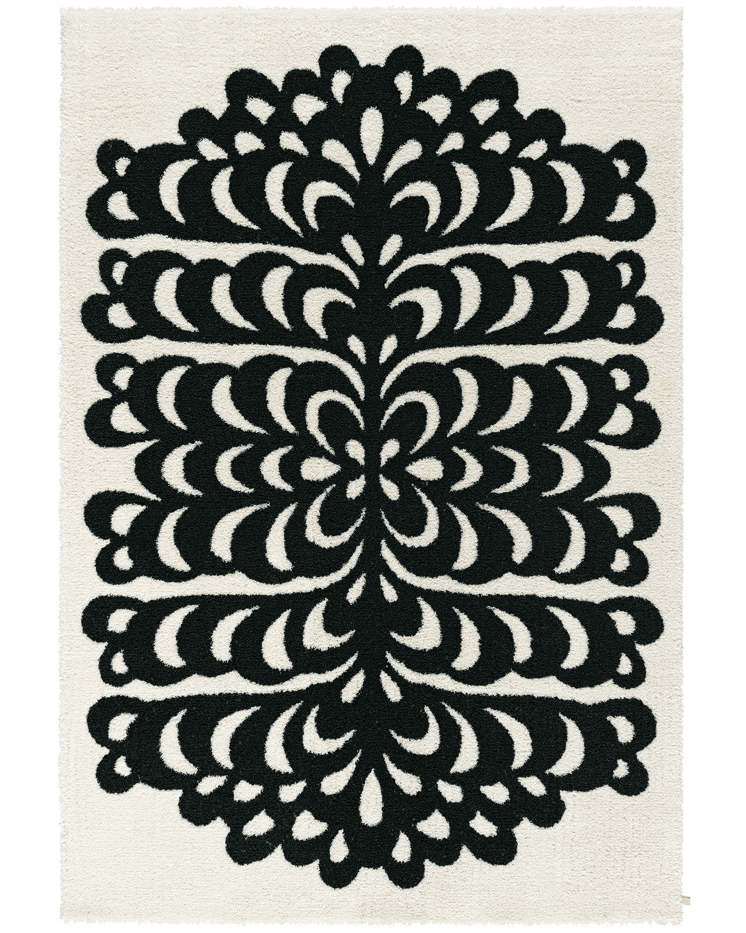 Påfågel Black