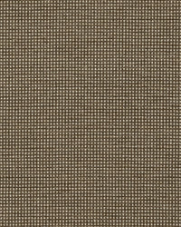 Dot Icon 783 Raw Umber