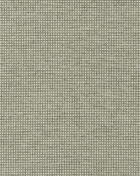 Dot Icon 883 Silver Green