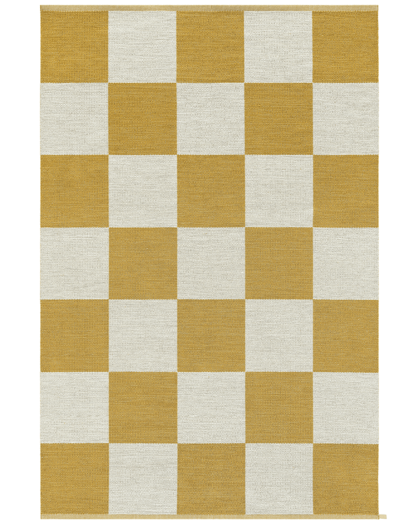 Checkerboard Icon 450 Sunny Day