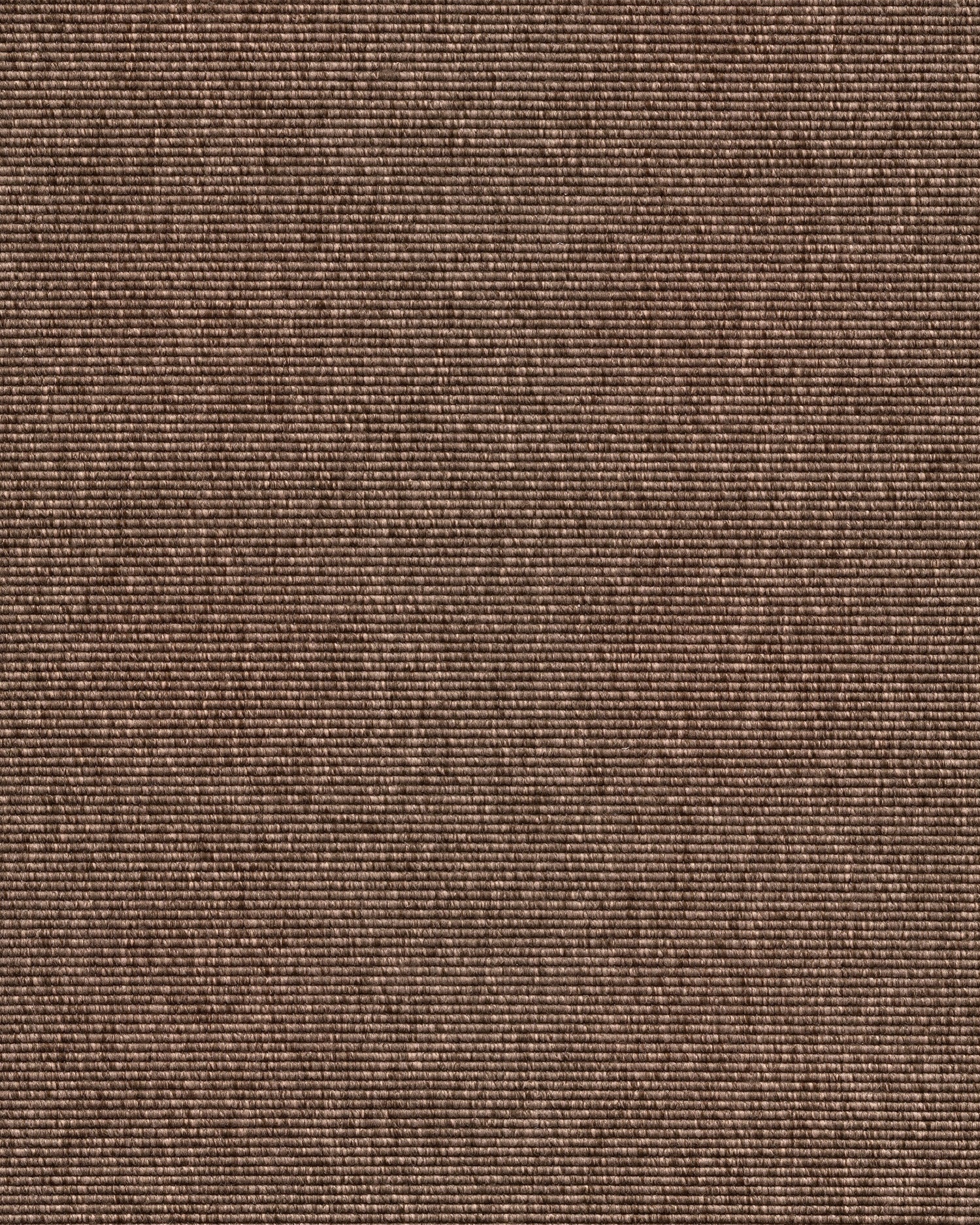 Alfa R+ Warm Brown 130