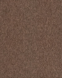 Alfa R+ Warm Brown 130