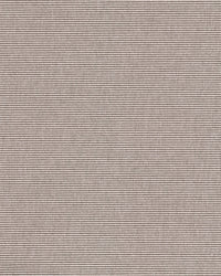 Alfa R+ Light Beige 220