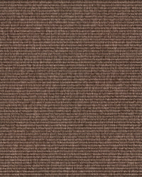 Beta R+ Warm Brown 130