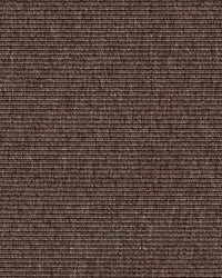 Beta R+ Brown150