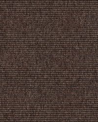 Beta R+ Dark Brown 180