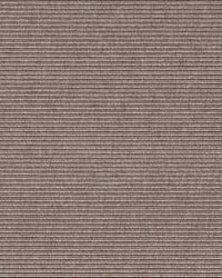 Beta R+ Warm Beige 240