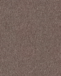 Beta R+ Mud Beige 260
