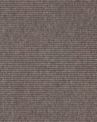 Beta R+ Pale Brown 280