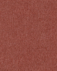 Beta R+ Pale Red 420
