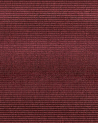 Beta R+ Dark Red 490