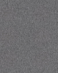 Beta R+ Cool Grey 740