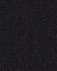 Beta R+ Cool Black 800