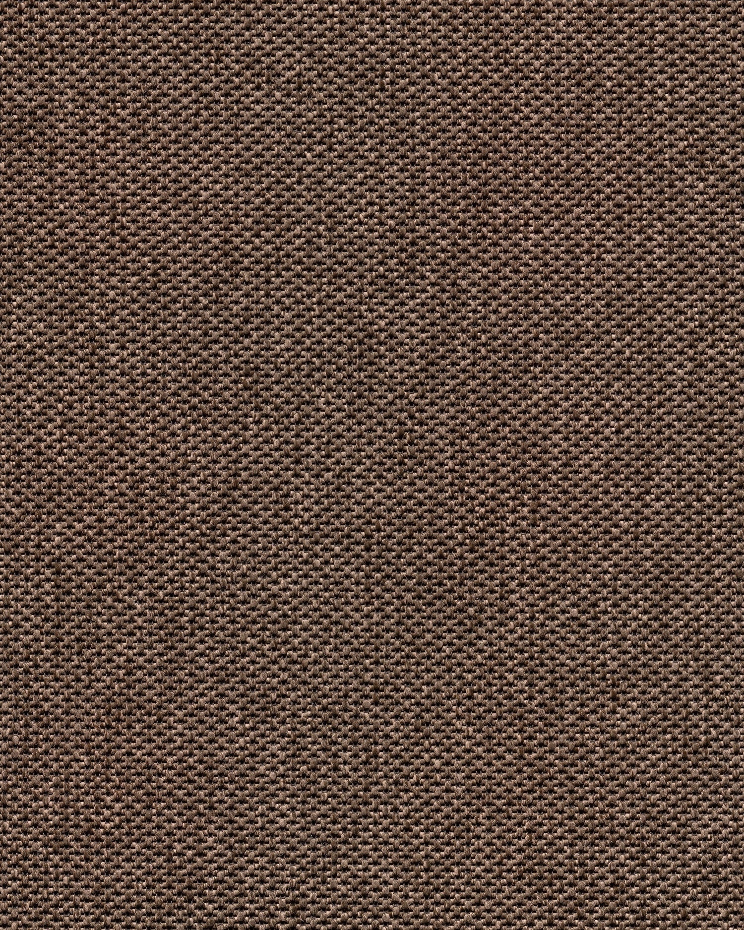 Mick R+ Warm Brown130