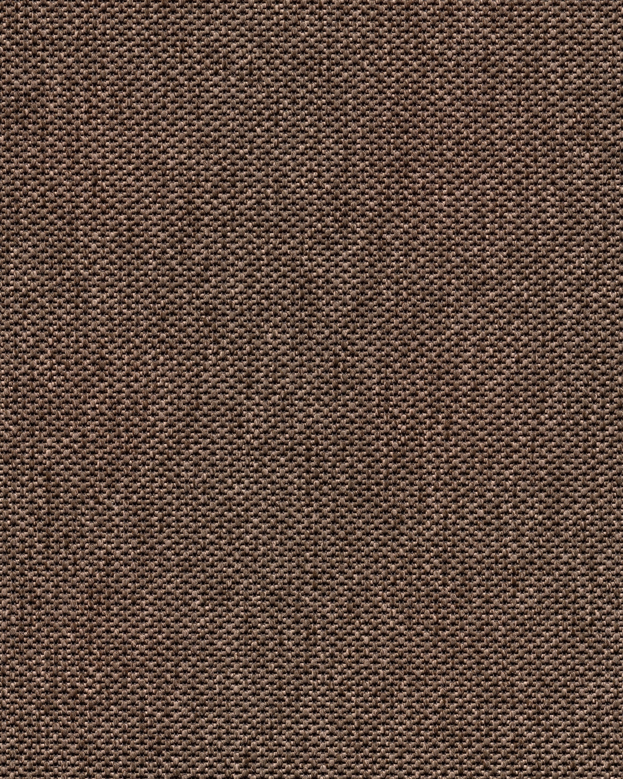 Mick R+ Warm Brown130