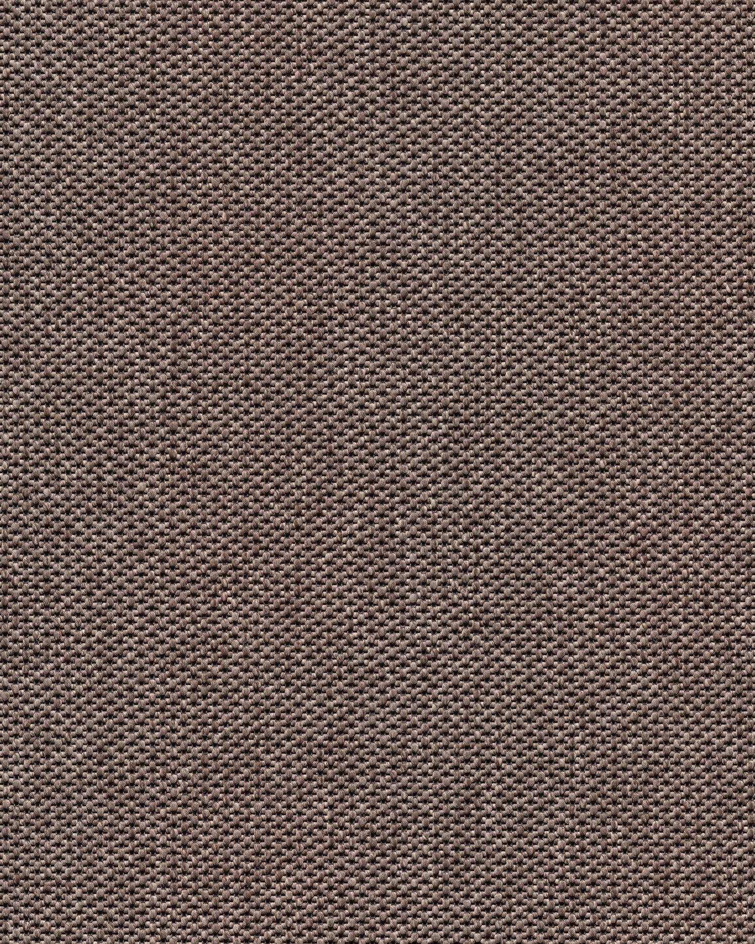 Mick R+ Mud Beige 260