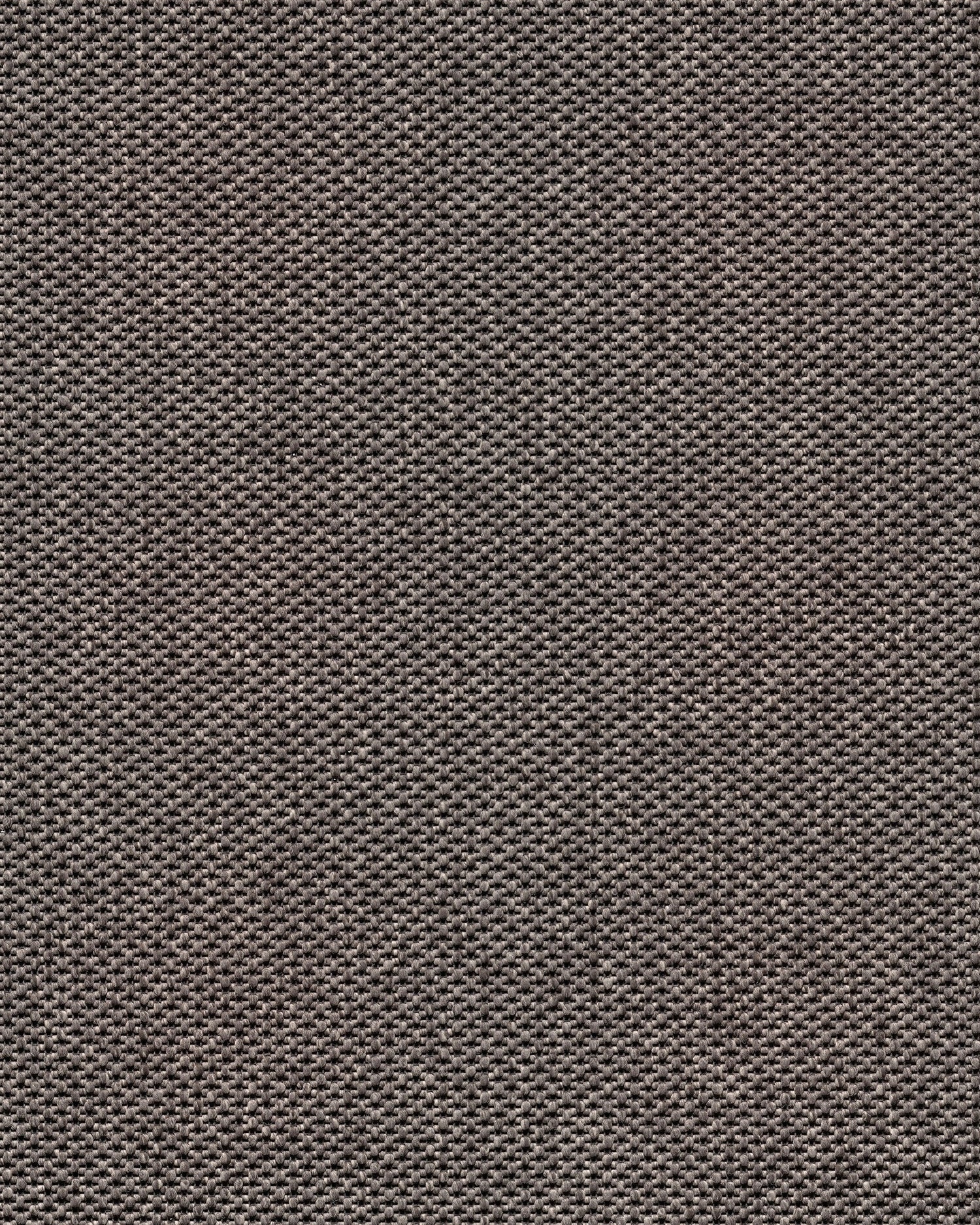 Mick R+ Pale Brown 280
