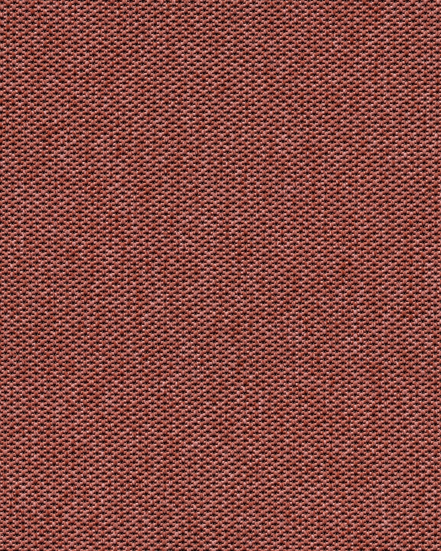 Mick R+ Pale Red 420