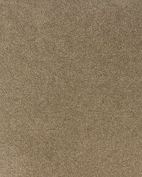 Maja Taupe 807