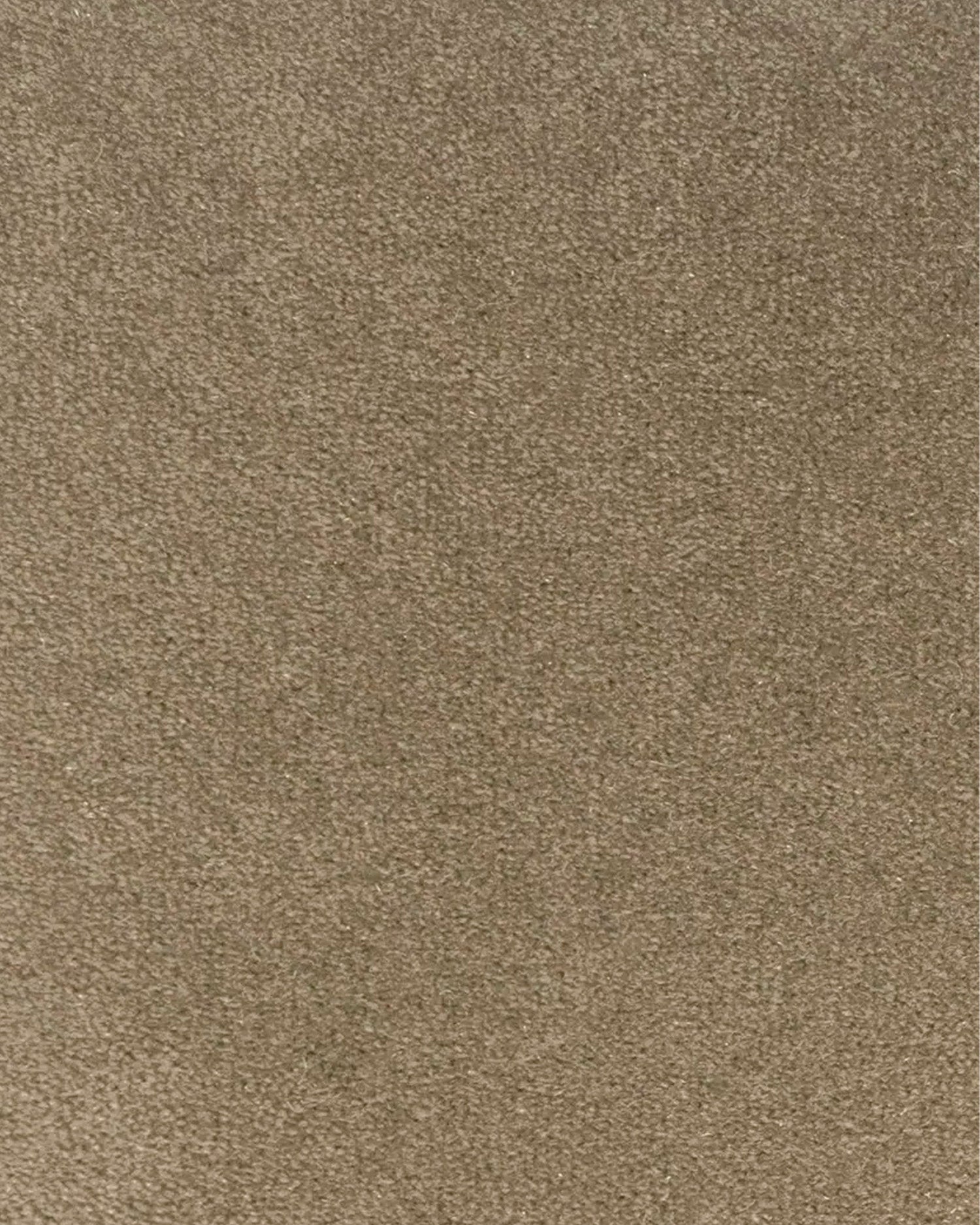 Mandy Taupe 307