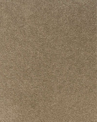 Mandy Taupe 307