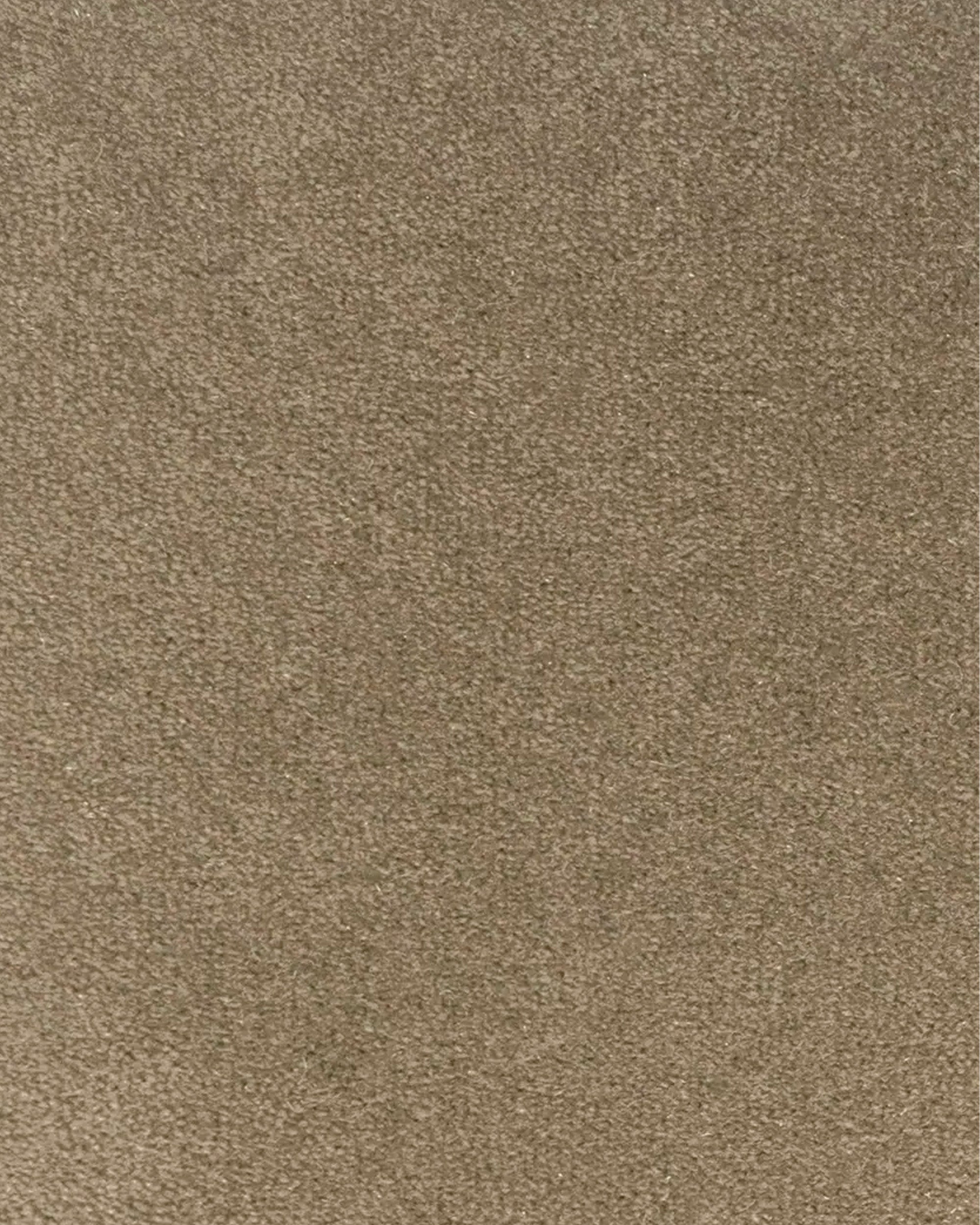 Mandy Taupe 307