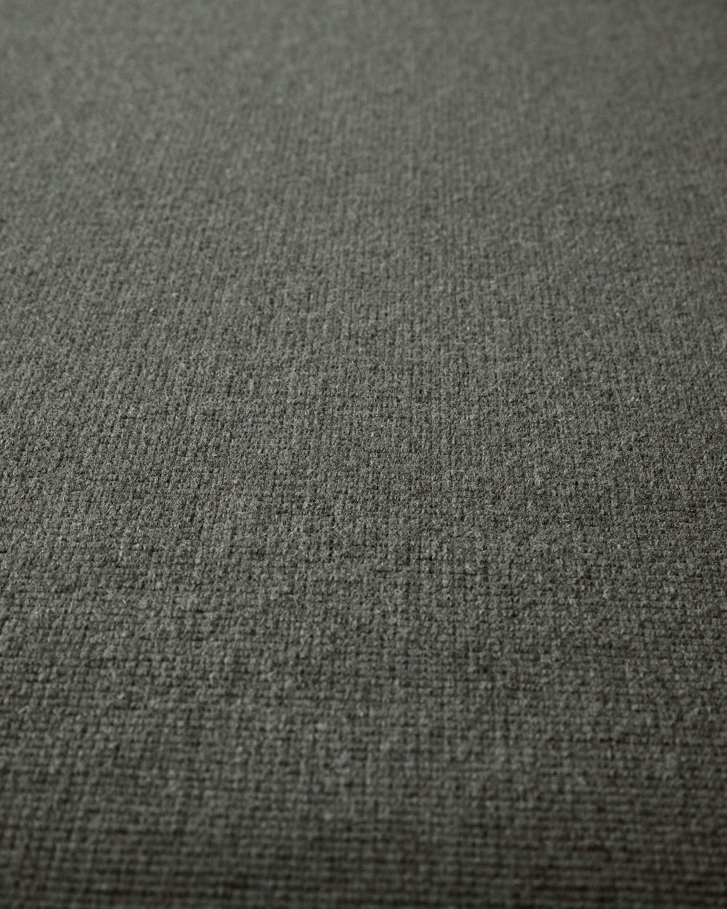 Liora Driftwood 502