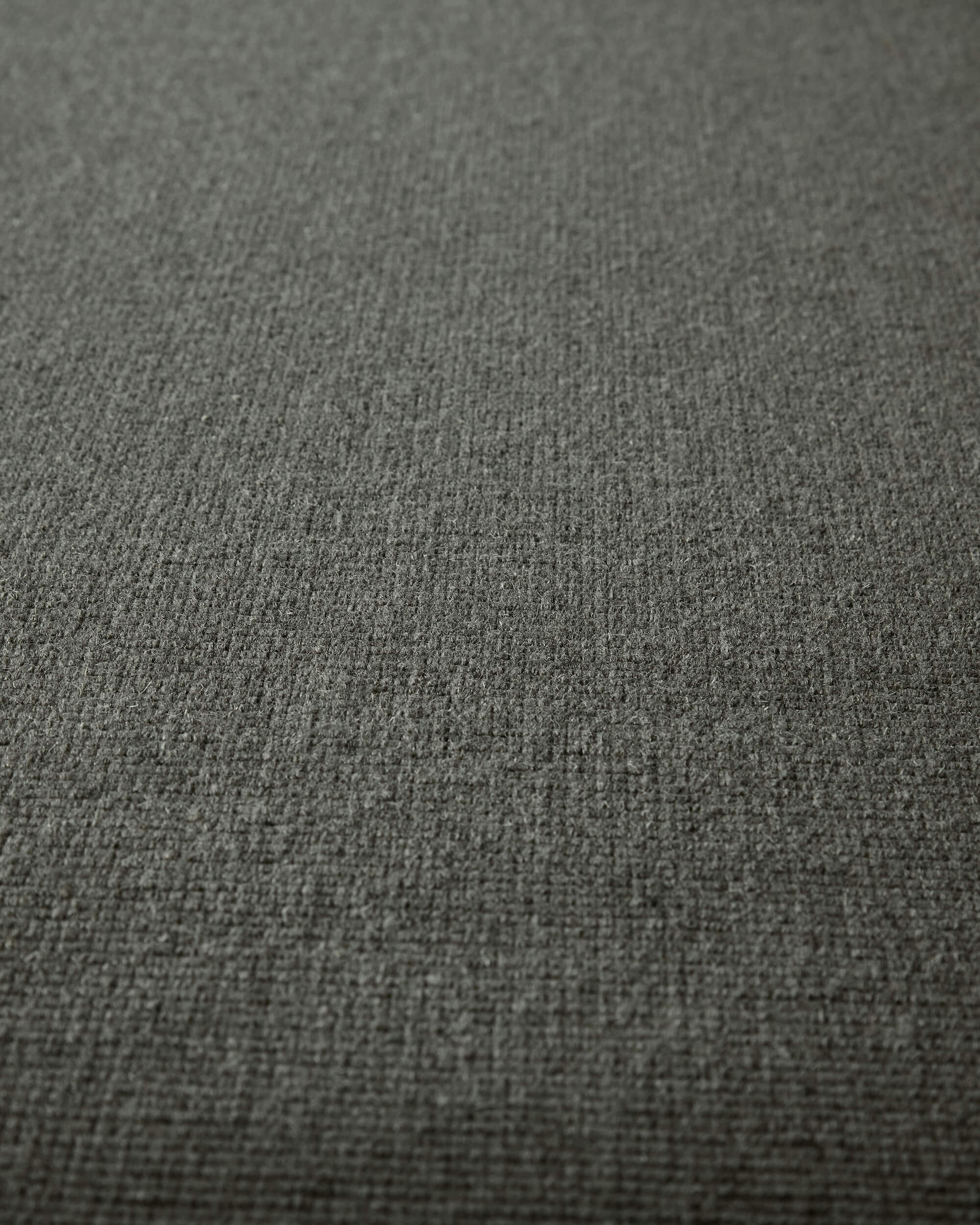 Liora Driftwood 502