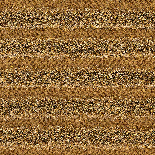 Sunflower 440